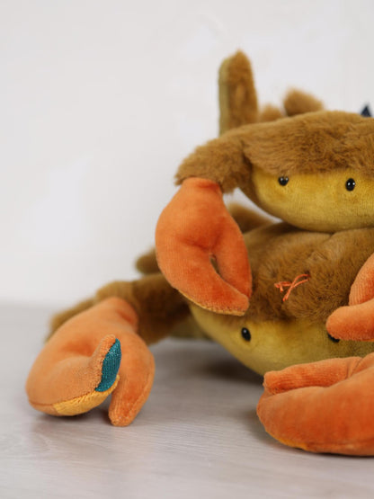 Small crab - Tout autour du monde