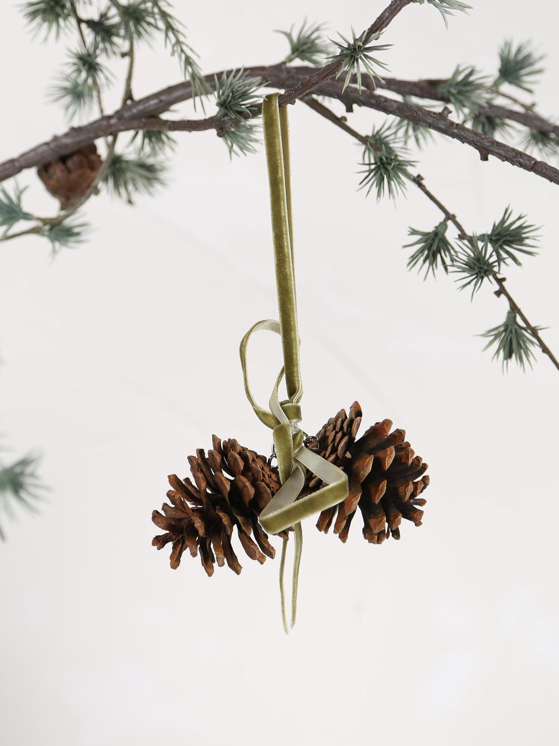 Pinecone Decoration With Sage Bow