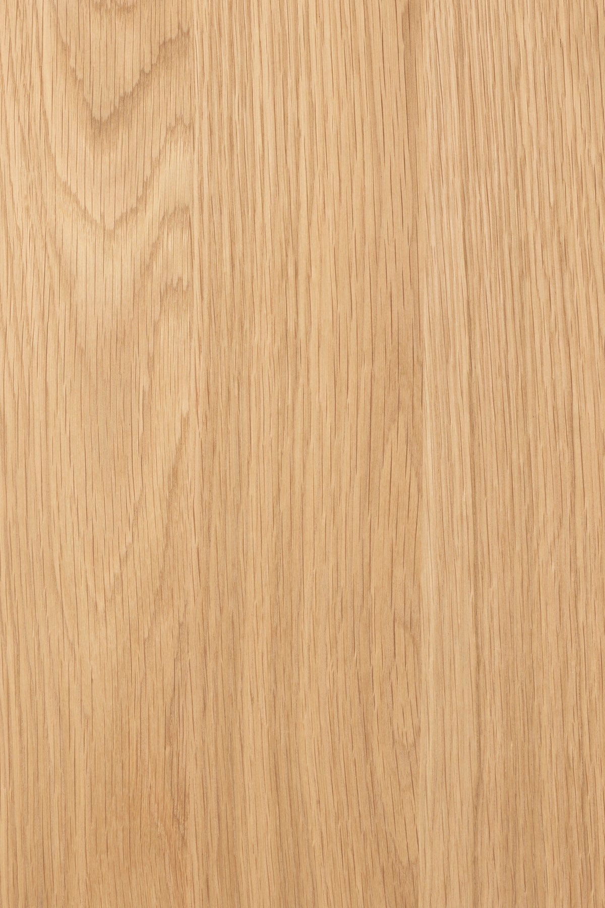 Storm Two Door Cabinet Natural