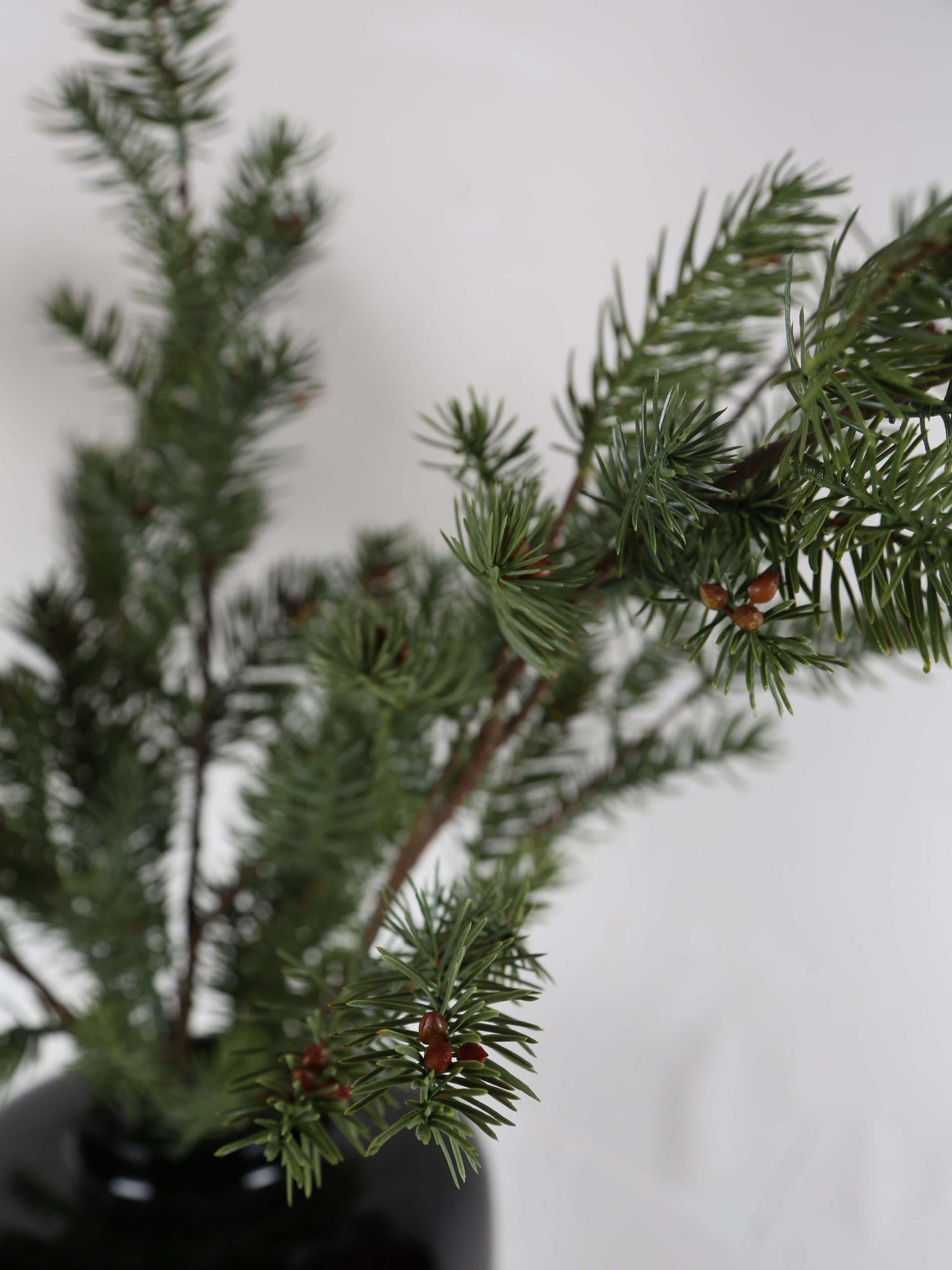 Faux Nordman Fir Seeded Stem