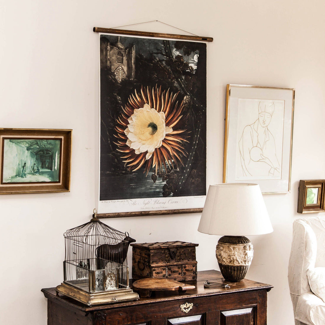 The Night Flower - Botanical Wall Chart