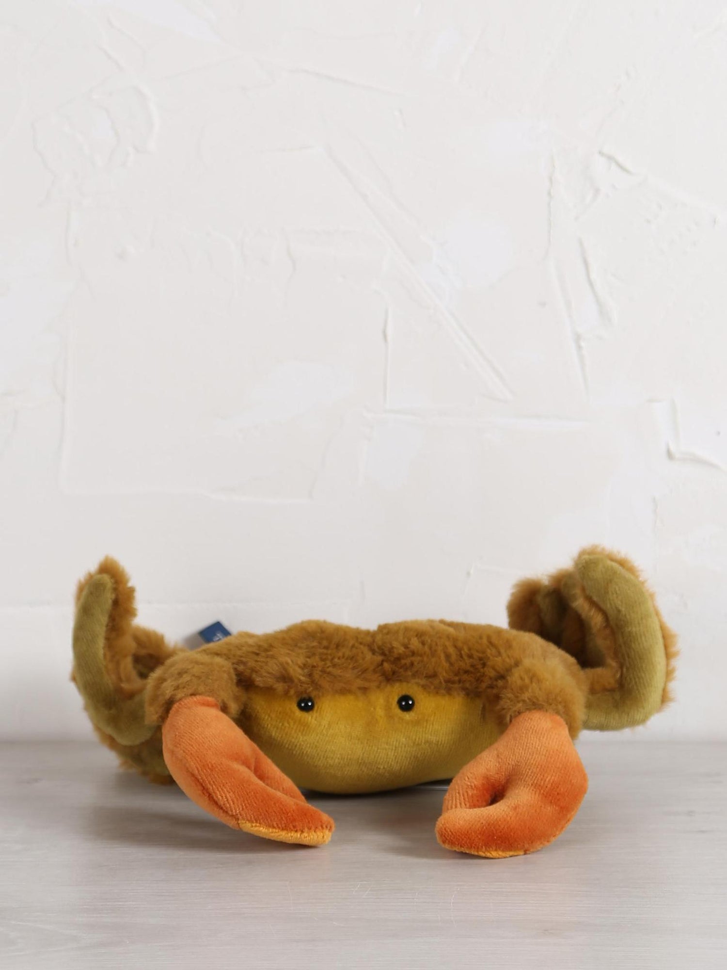 Small crab - Tout autour du monde
