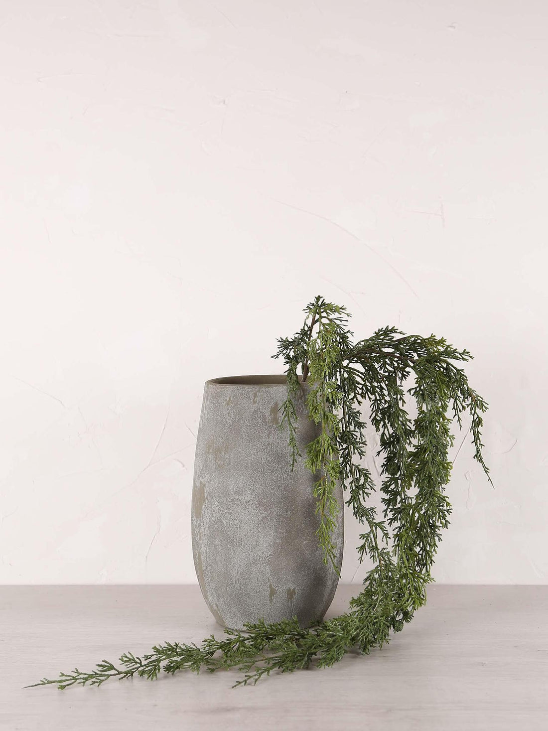 Cedar Hanging Seed Pod Stem