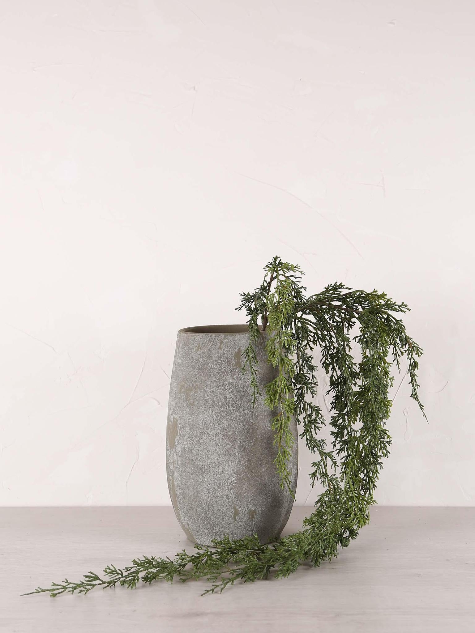 Cedar Hanging Seed Pod Stem