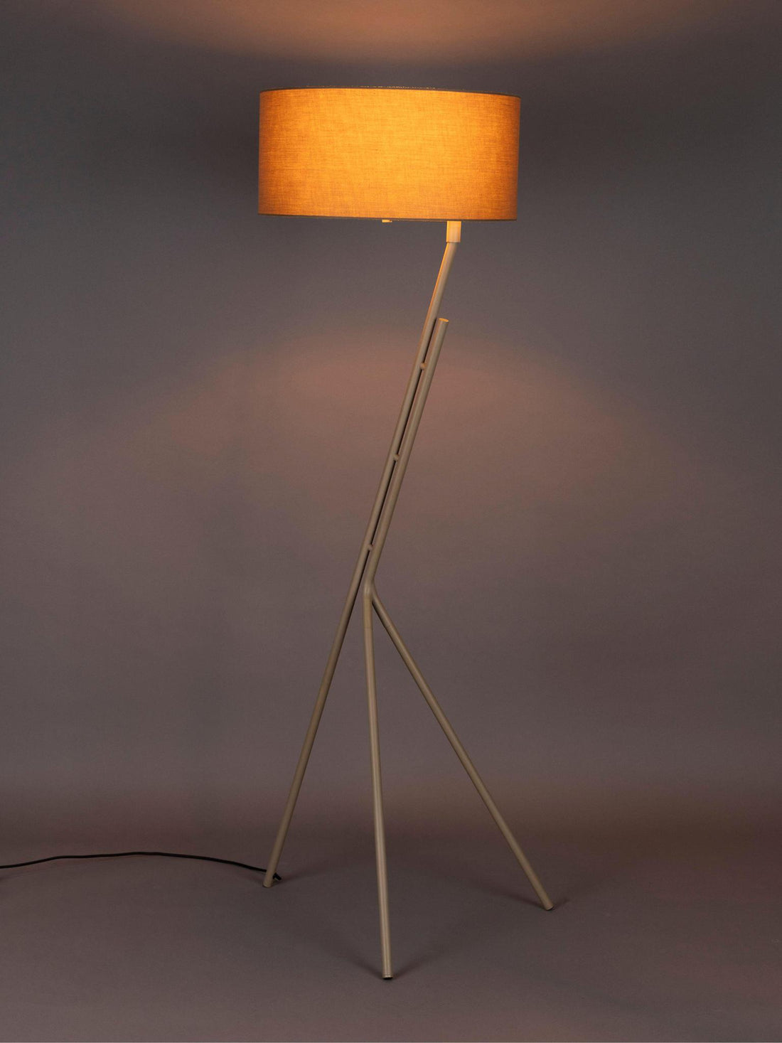 Murphy Floor Lamp