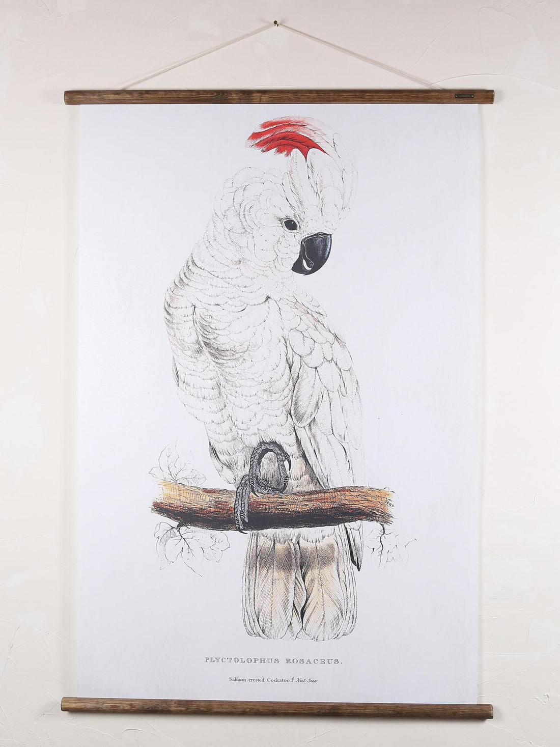 Wall Hanging Cockatoo