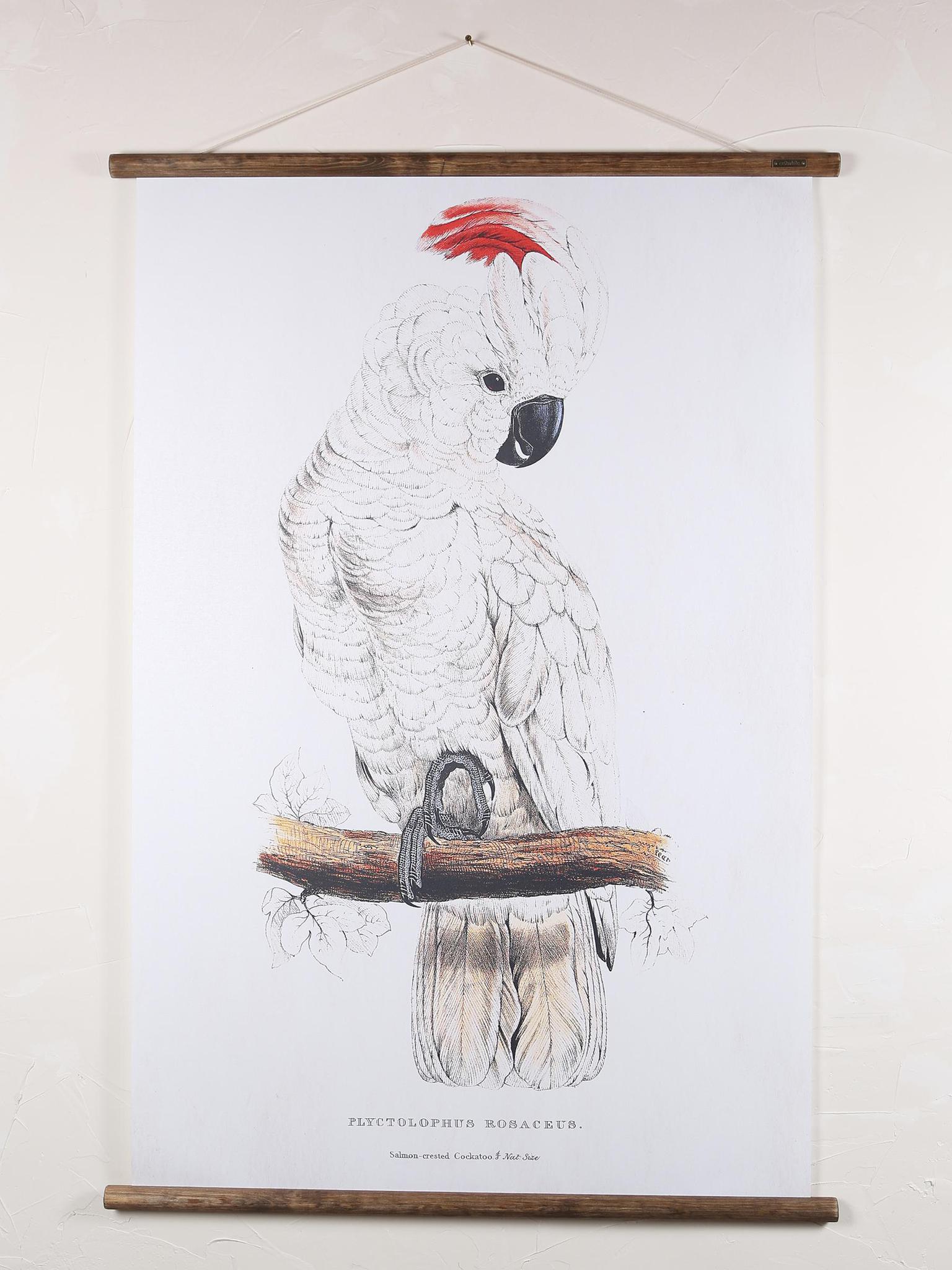 Wall Hanging Cockatoo