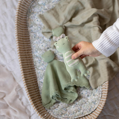 Little Hands Organic Soft Toy - Friendly Frog