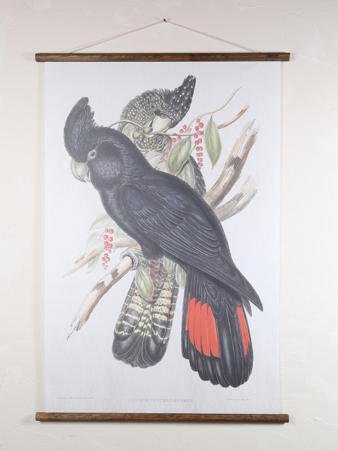 Wall Hanging Black Cockatoo
