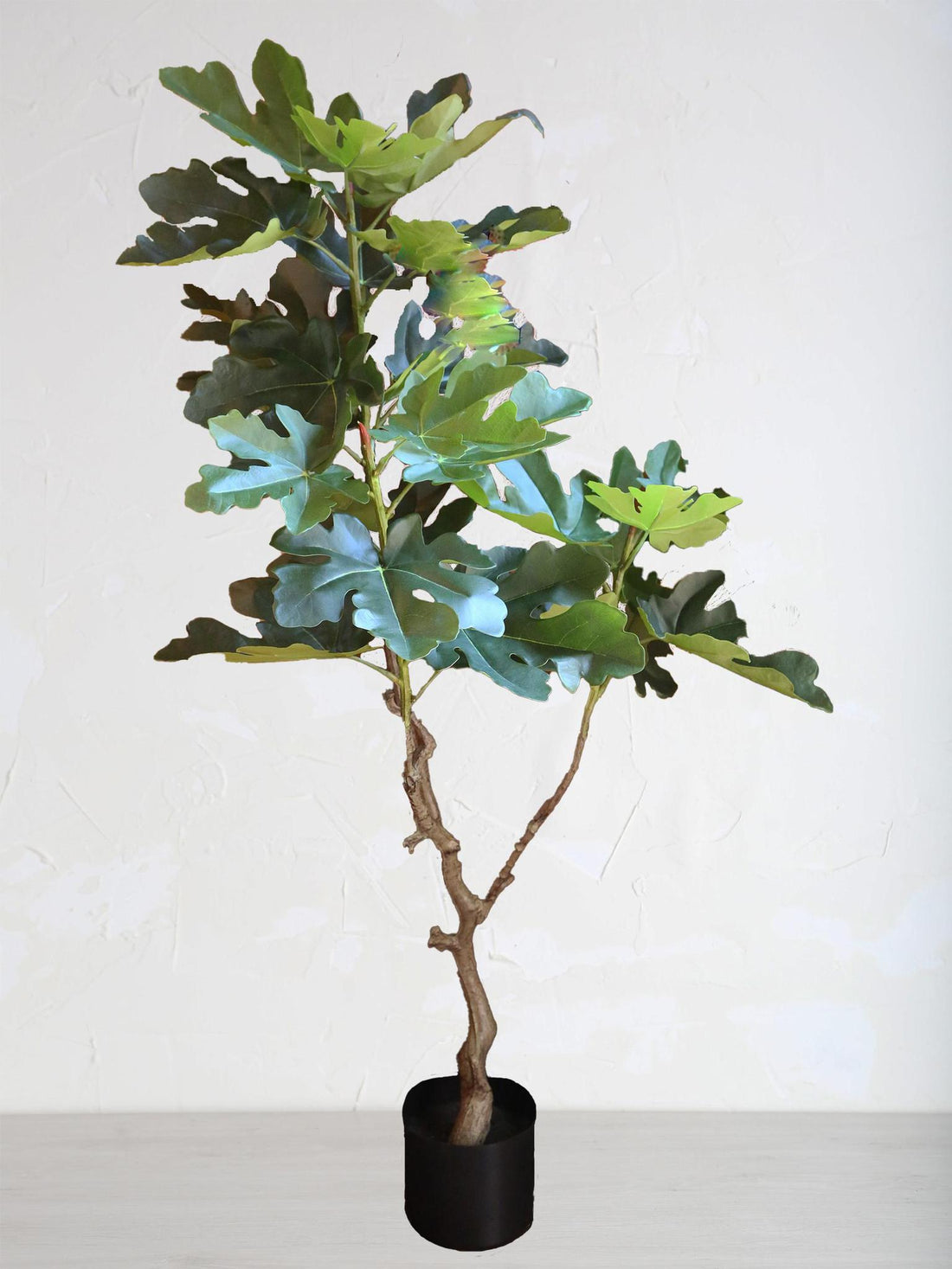 Faux Ficus In Pot