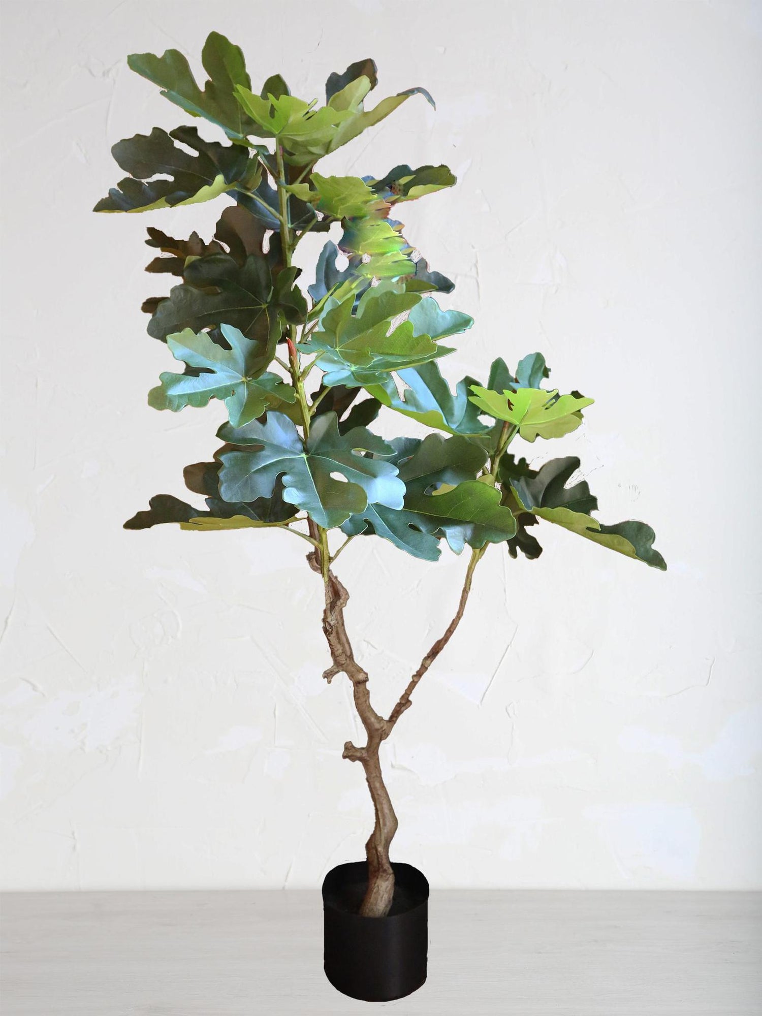 Faux Ficus In Pot