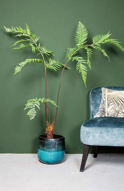Faux Green Sword Plant - In Black Pot