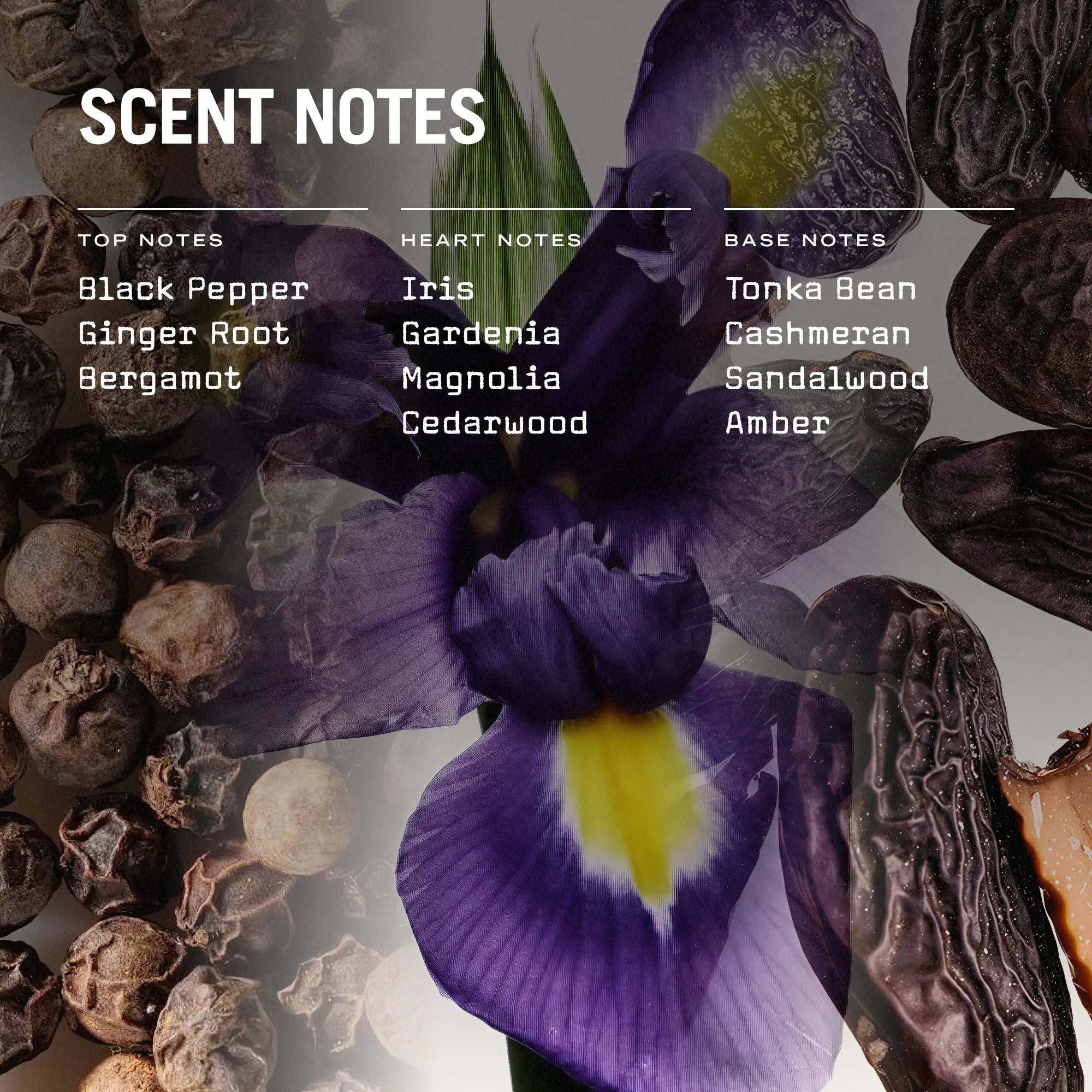 Firenze Leather Scented Candle