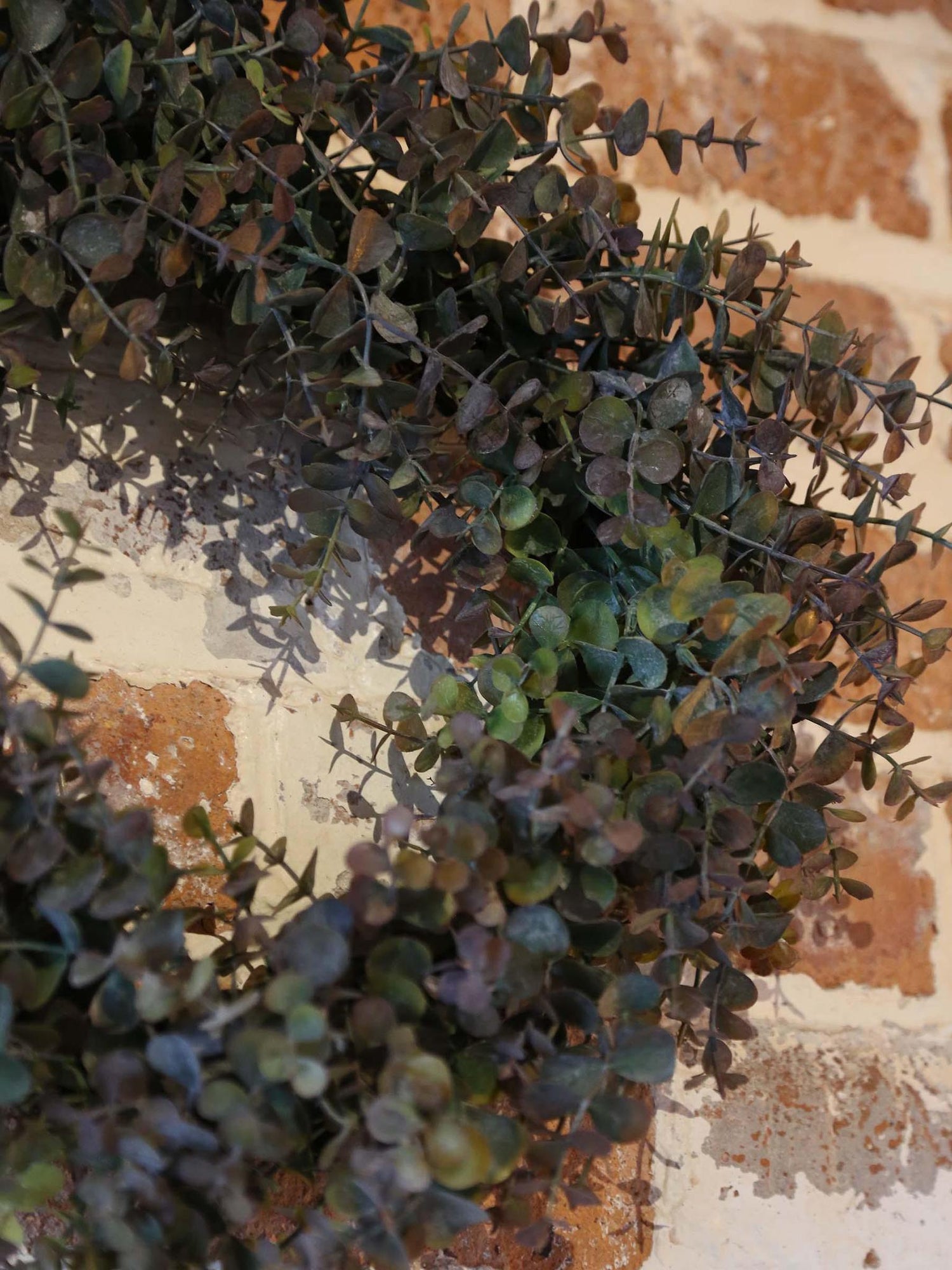 Eurelia wreath- Dusty Green