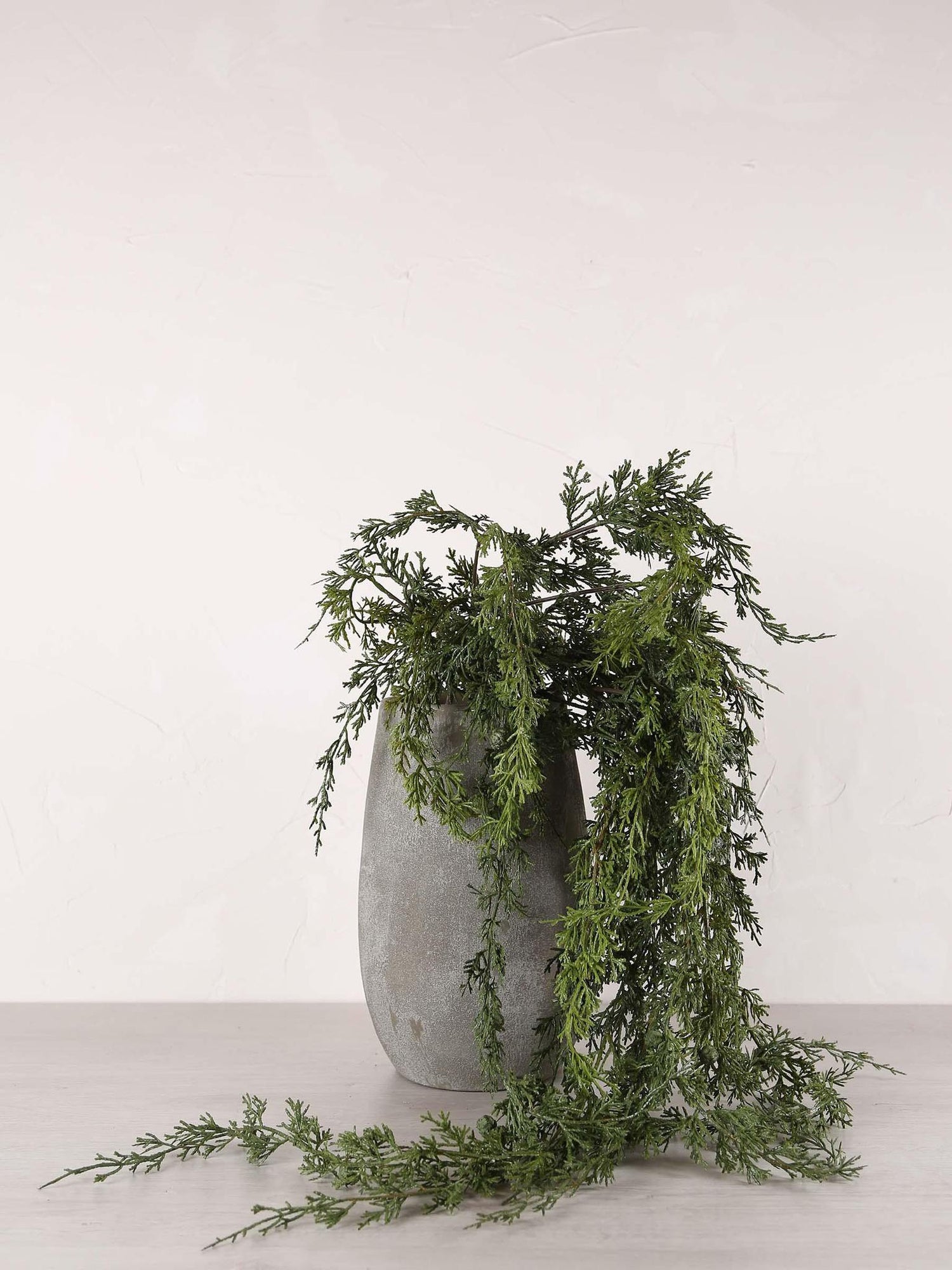 Cedar Hanging Seed Pod Stem