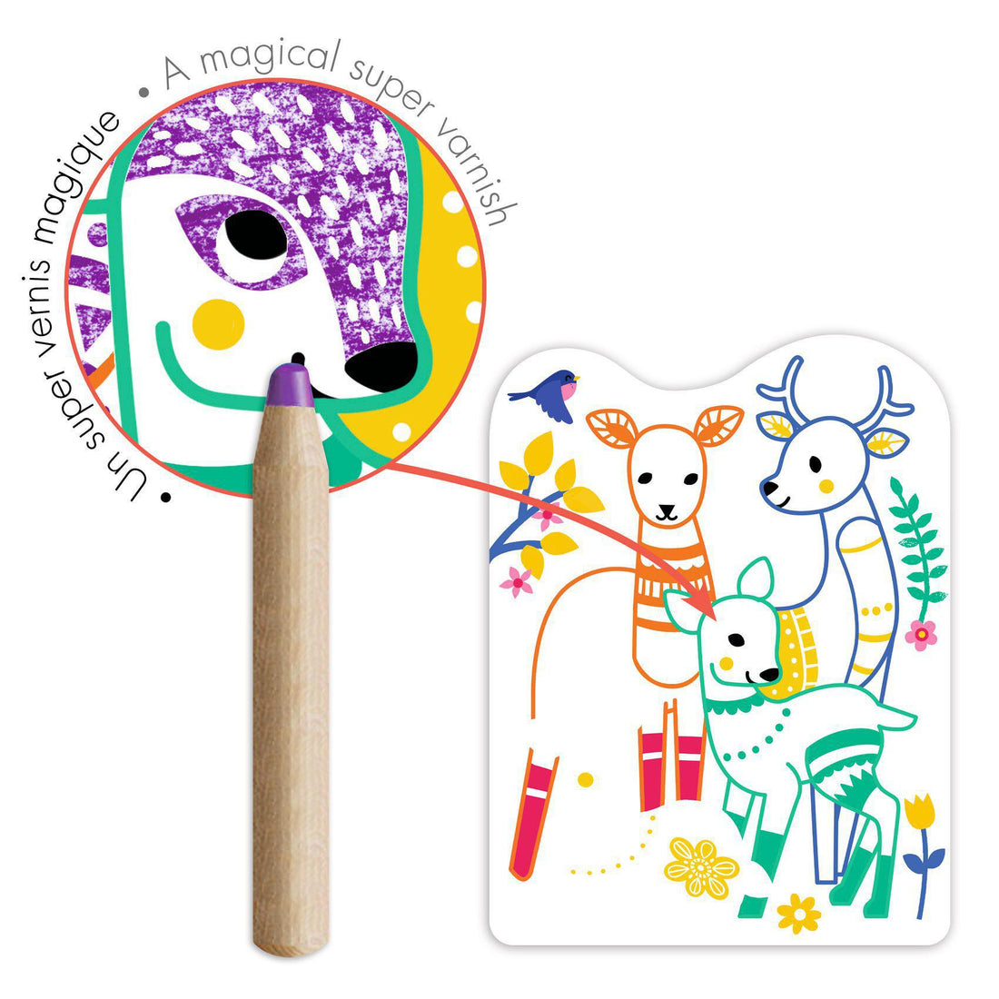 Magic Colouring  - Forest Families