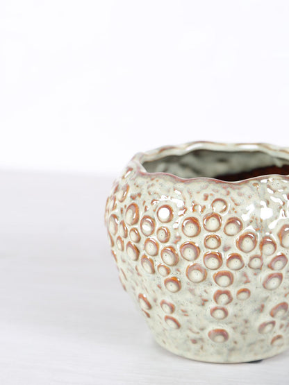 Avis Ceramic Pot - Cream