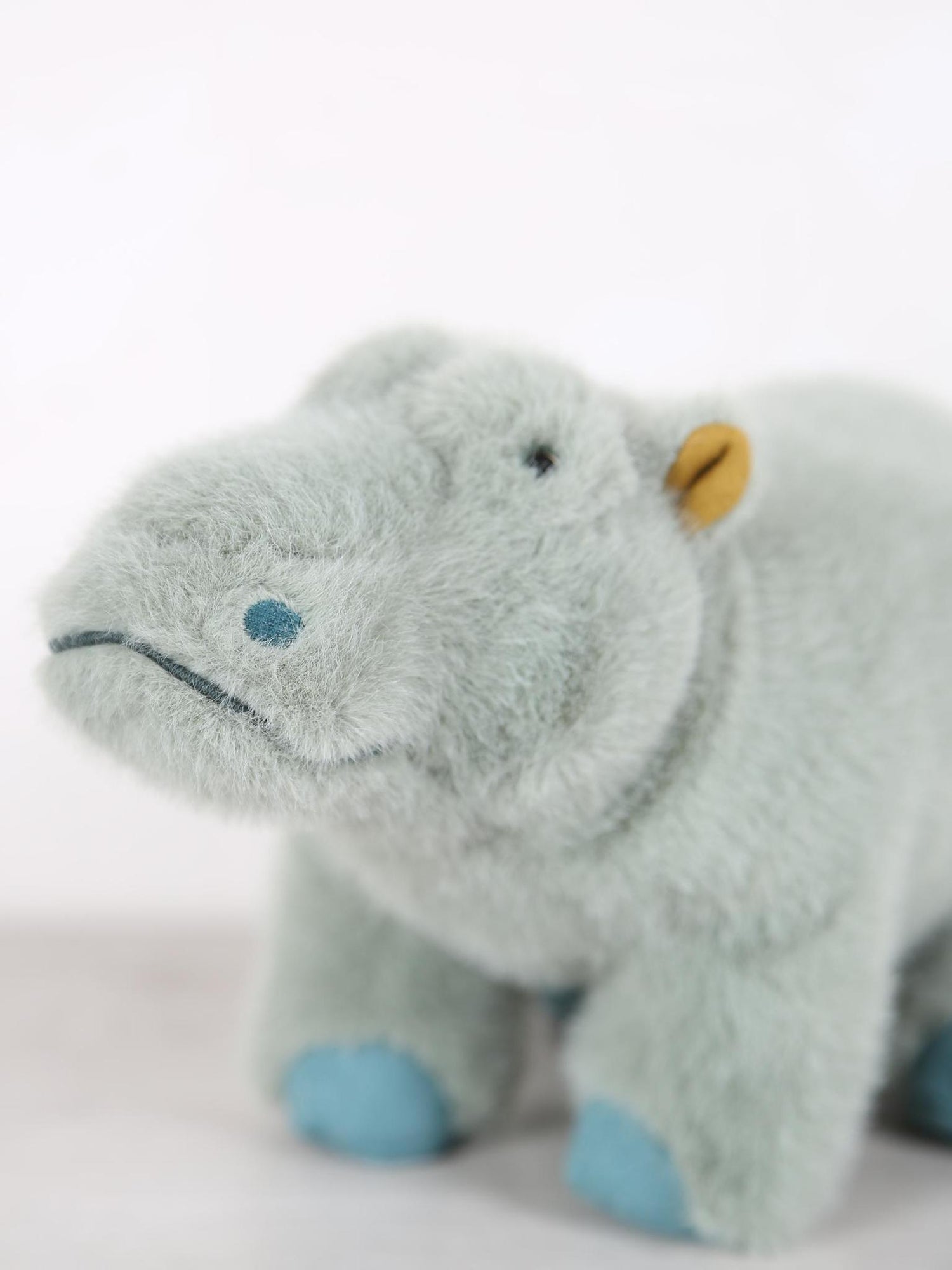 Small hippopotamus - Tout autour du monde