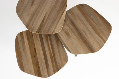 Coffee Table Cuties - Set of 3