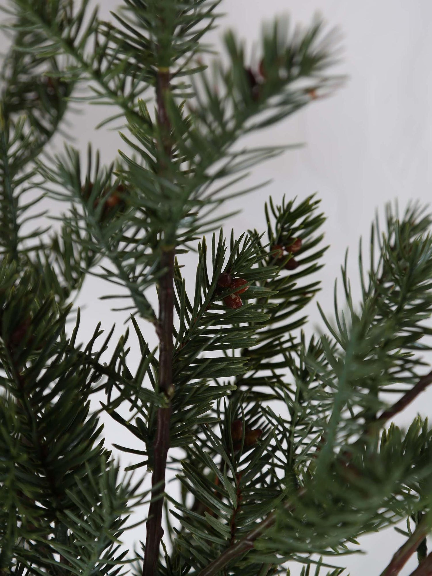 Faux Nordman Fir Seeded Stem
