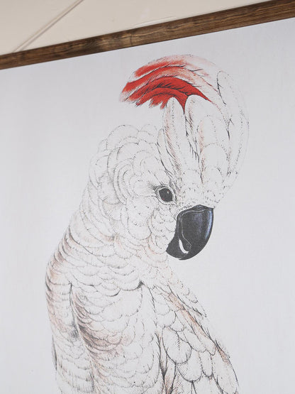 Wall Hanging Cockatoo