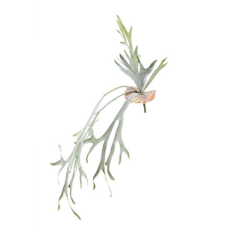 Large Faux Leaves Staghorn Stem