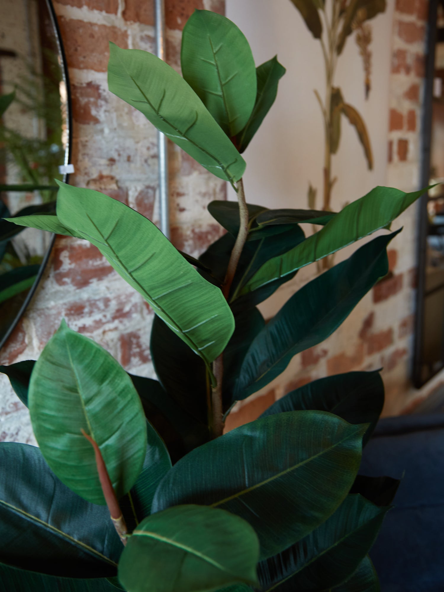 Green Faux Rubber Tree in Black Pot