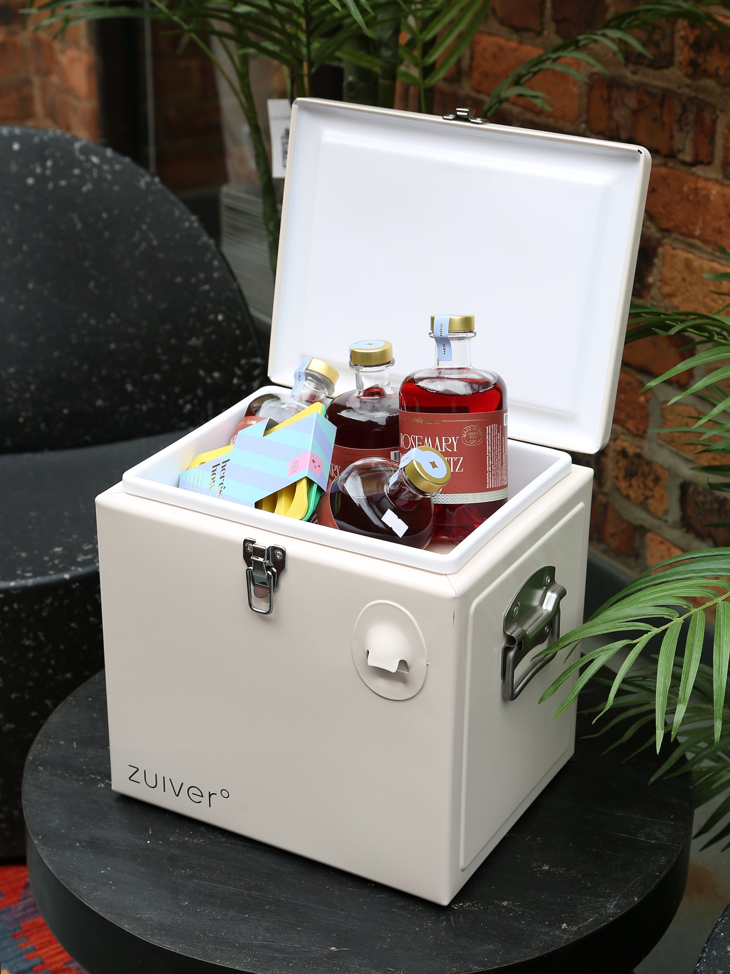 Cooler Be Cute Cool Box - 4 Options Available