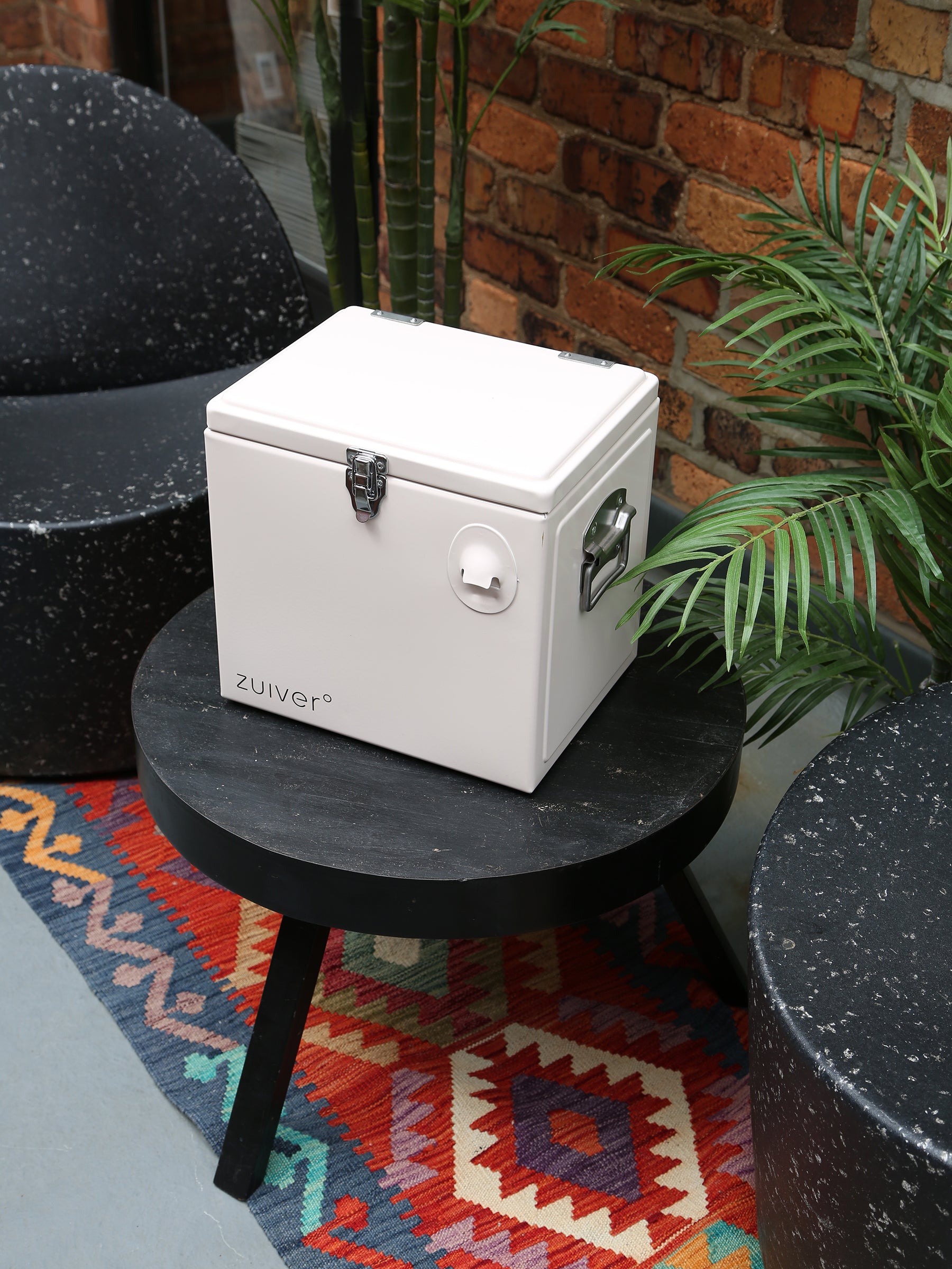 Cooler Be Cute Cool Box - 4 Options Available