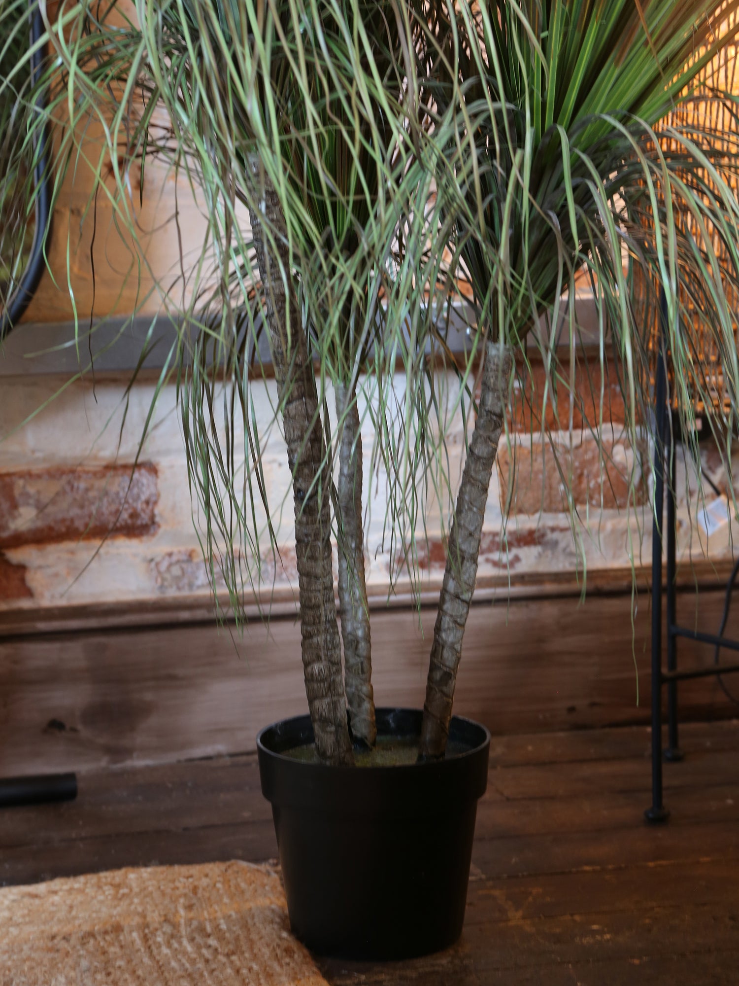 Faux Dense Grass Plant