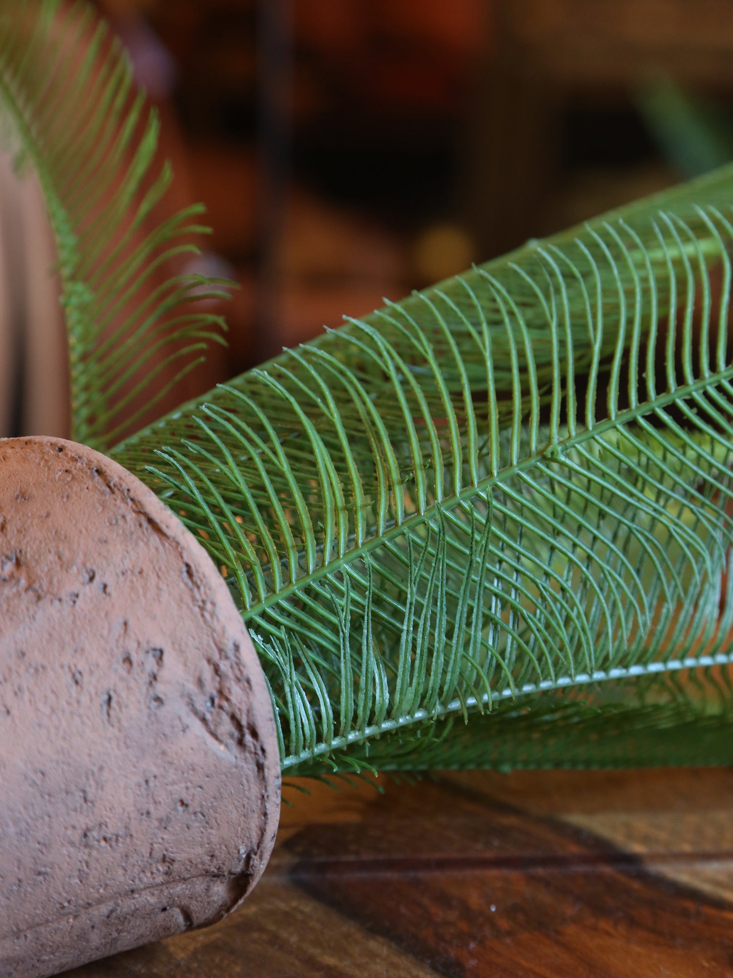 Faux Java Fern - Terracotta Pot