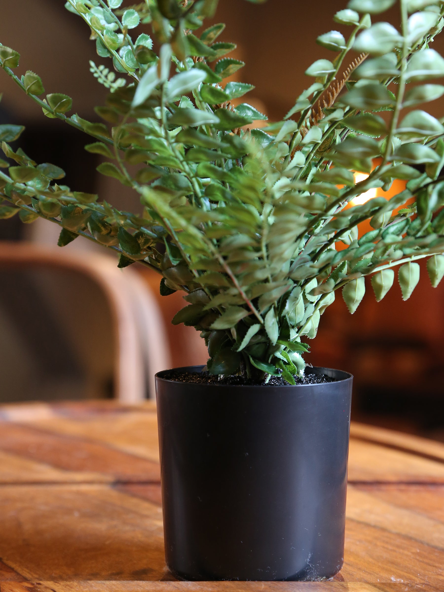Faux Button Leaf Fern