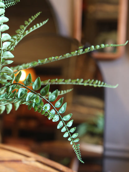 Faux Button Leaf Fern