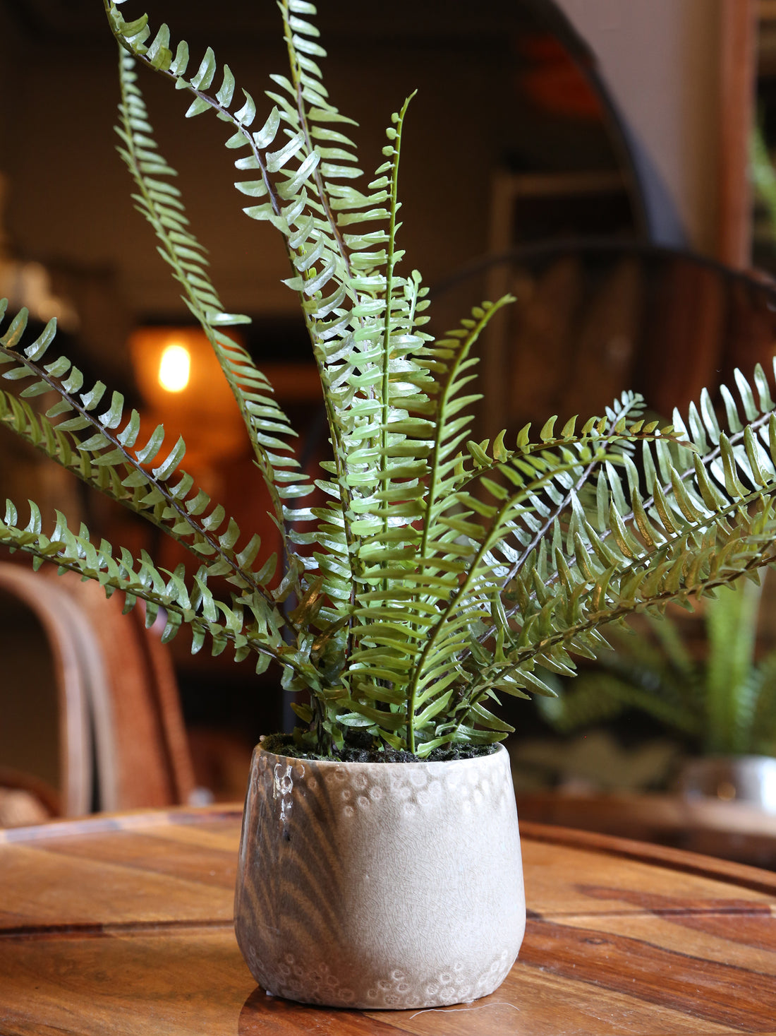Faux Fern - Khaki Ceramic Pot