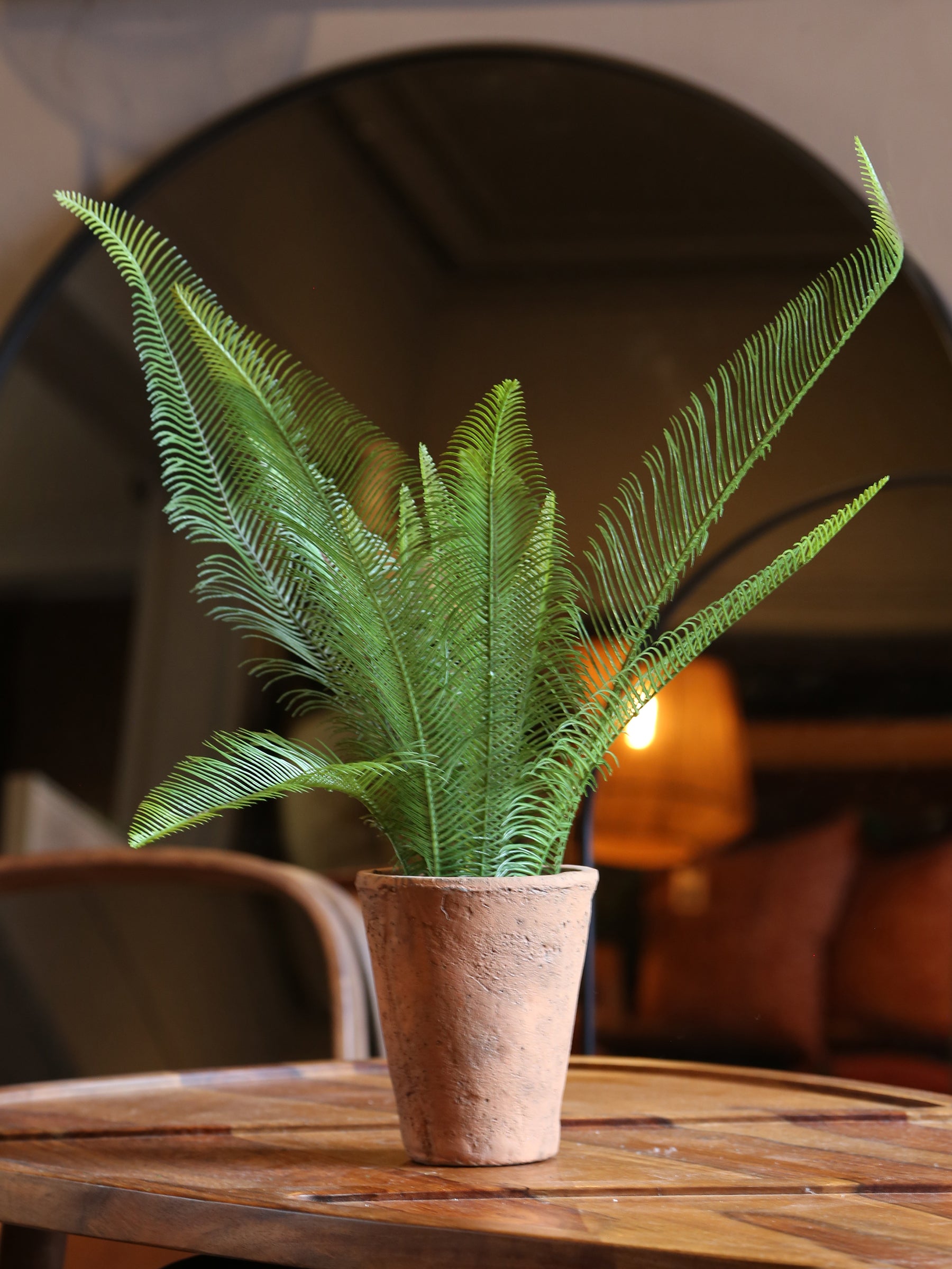 Faux Java Fern - Terracotta Pot