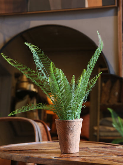 Faux Java Fern - Terracotta Pot
