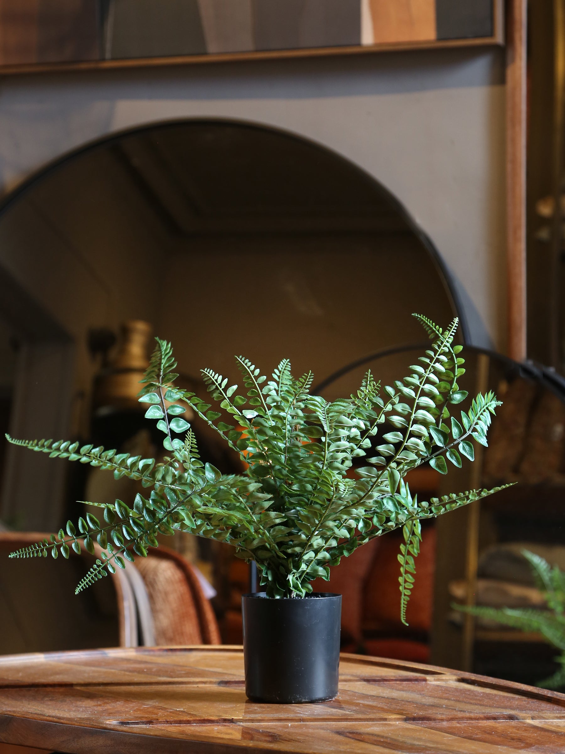 Faux Button Leaf Fern