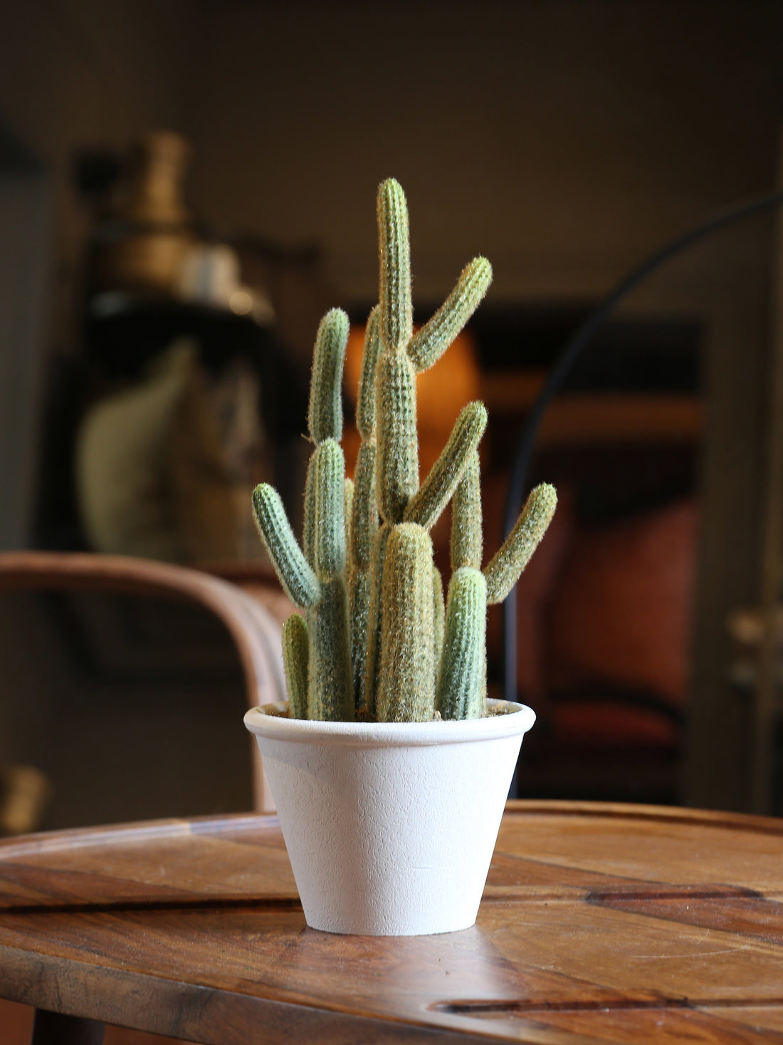 Faux Potted Cactus