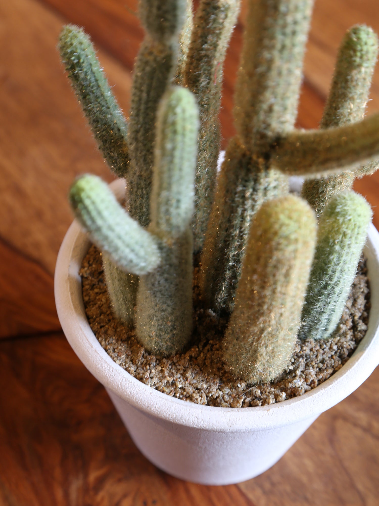 Faux Potted Cactus