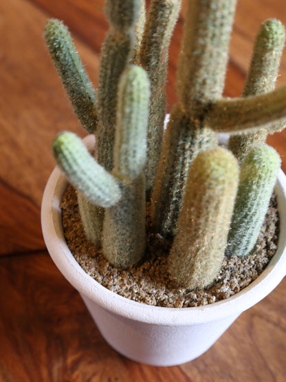 Faux Potted Cactus