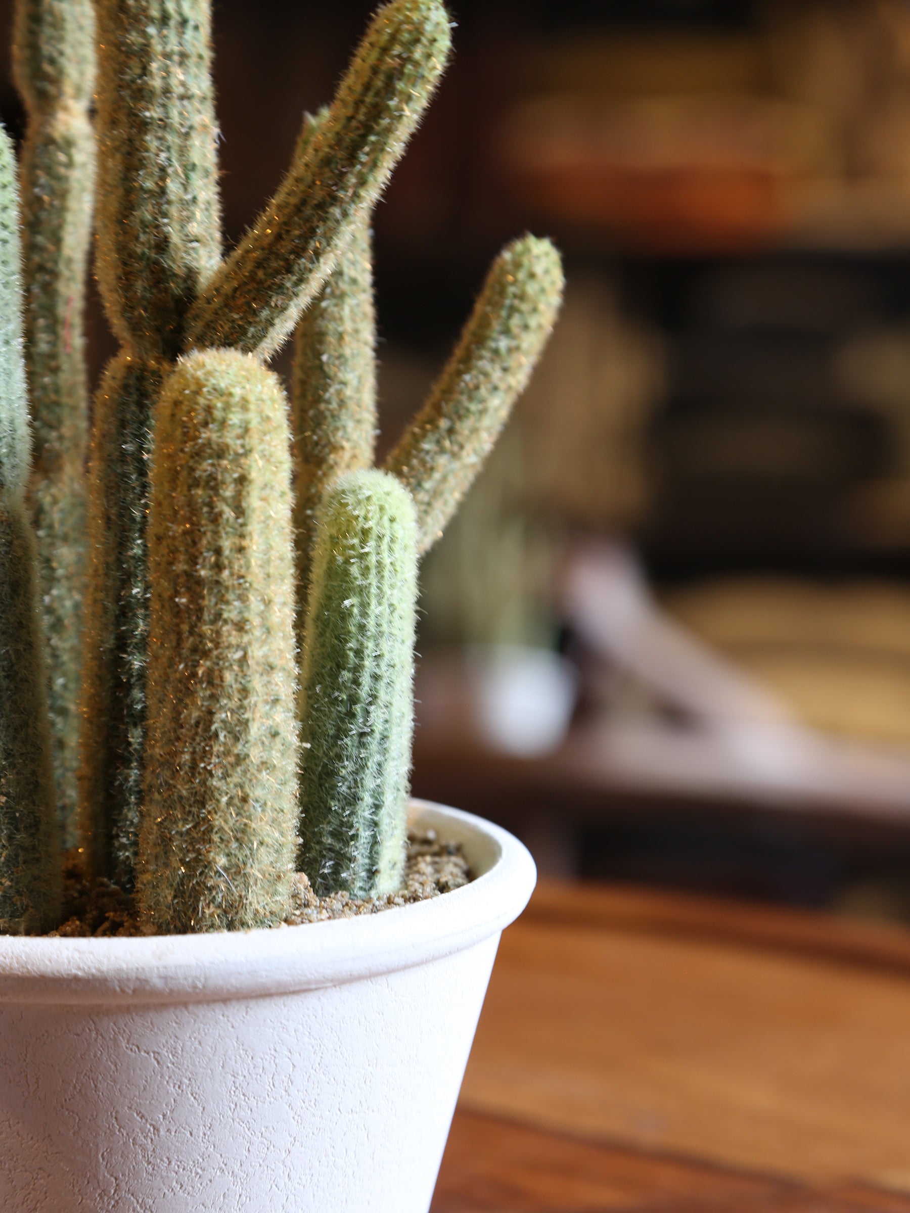 Faux Potted Cactus