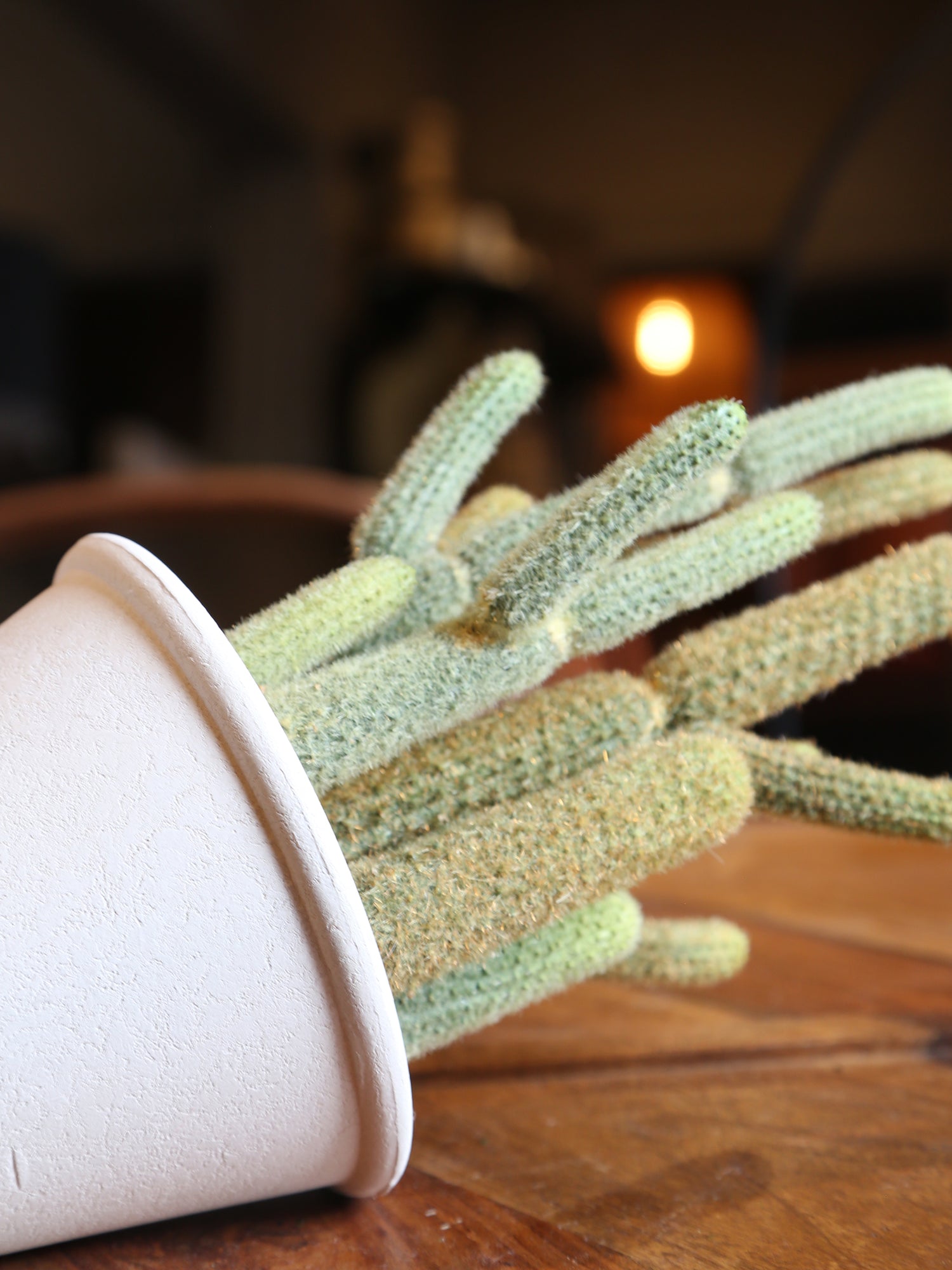Faux Potted Cactus