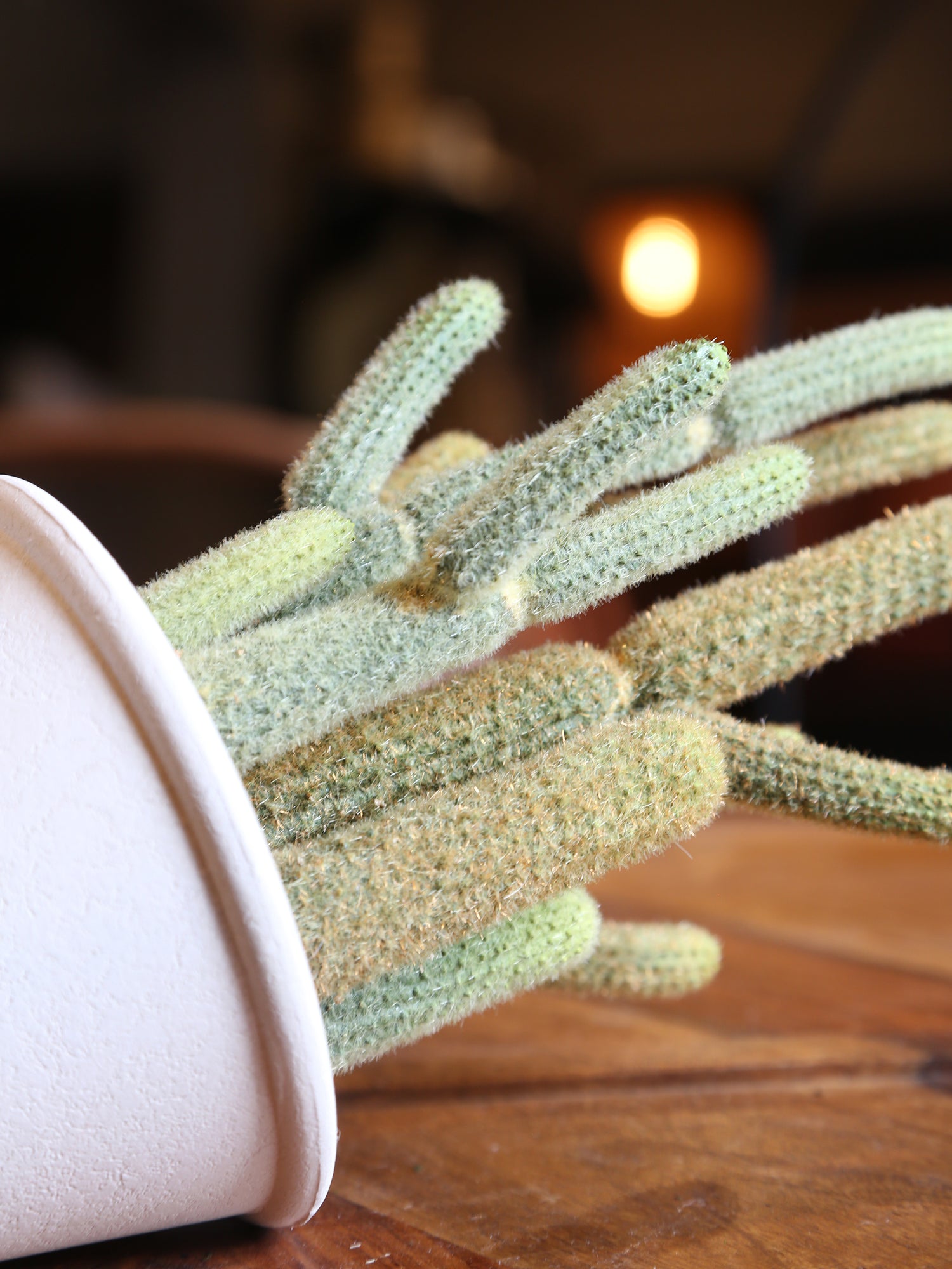 Faux Potted Cactus