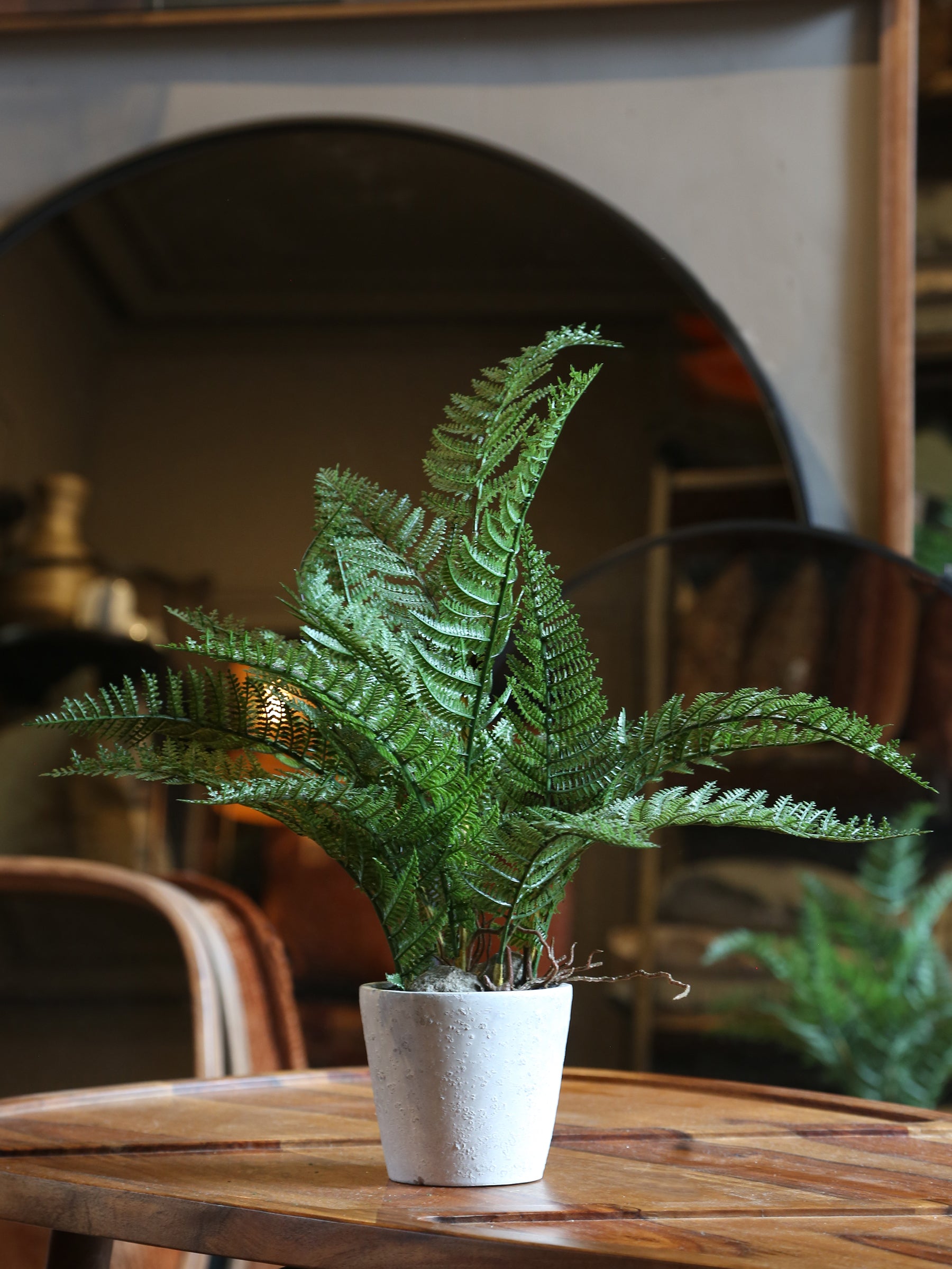 Faux Bracken Fern in Pot