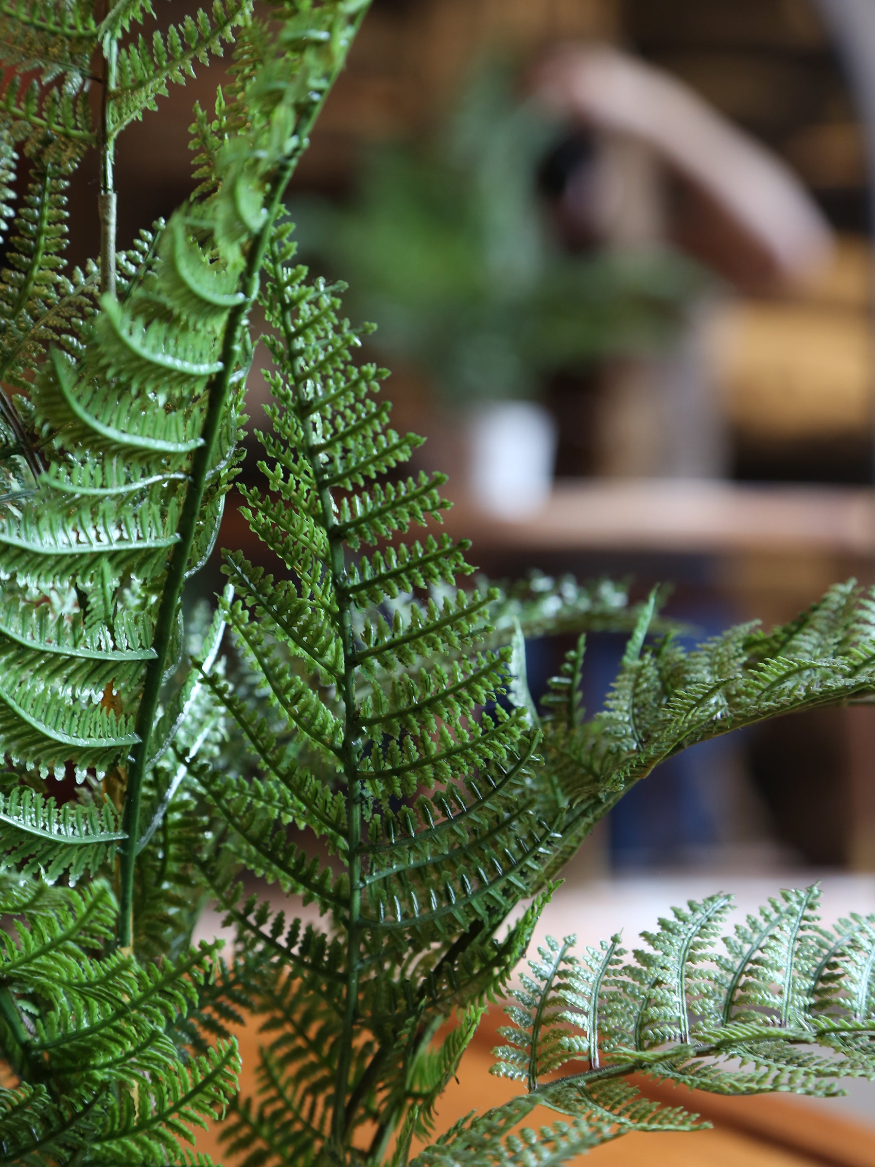 Faux Bracken Fern in Pot