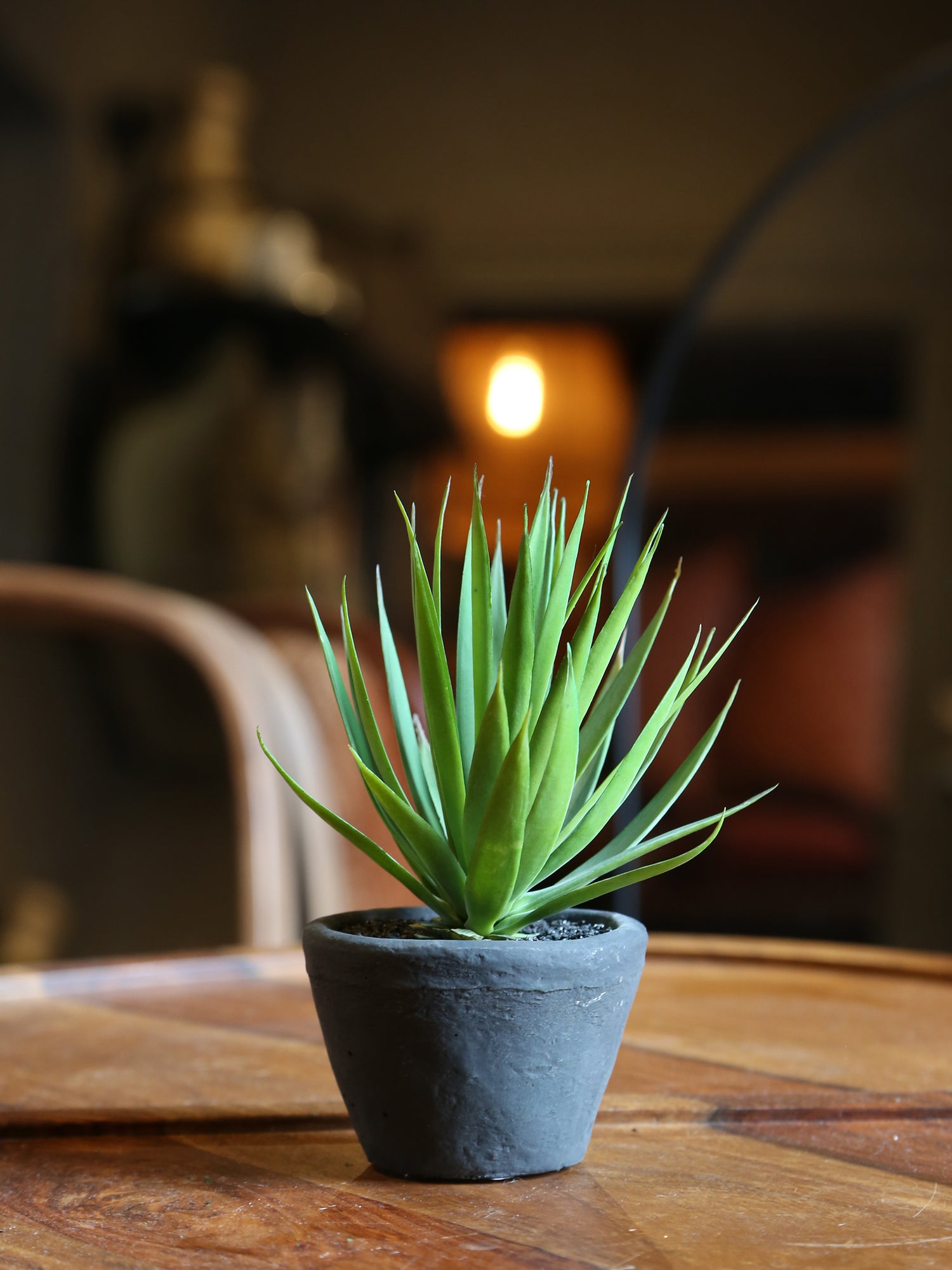 Faux Dark Green Air plant - Cement Pot
