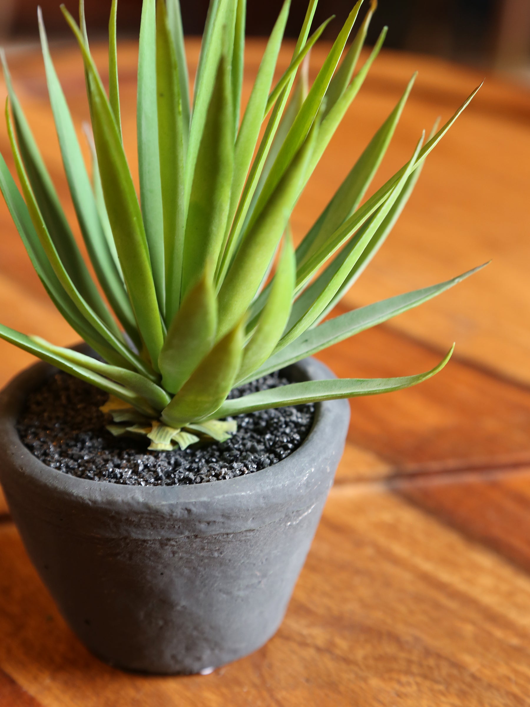 Faux Dark Green Air plant - Cement Pot