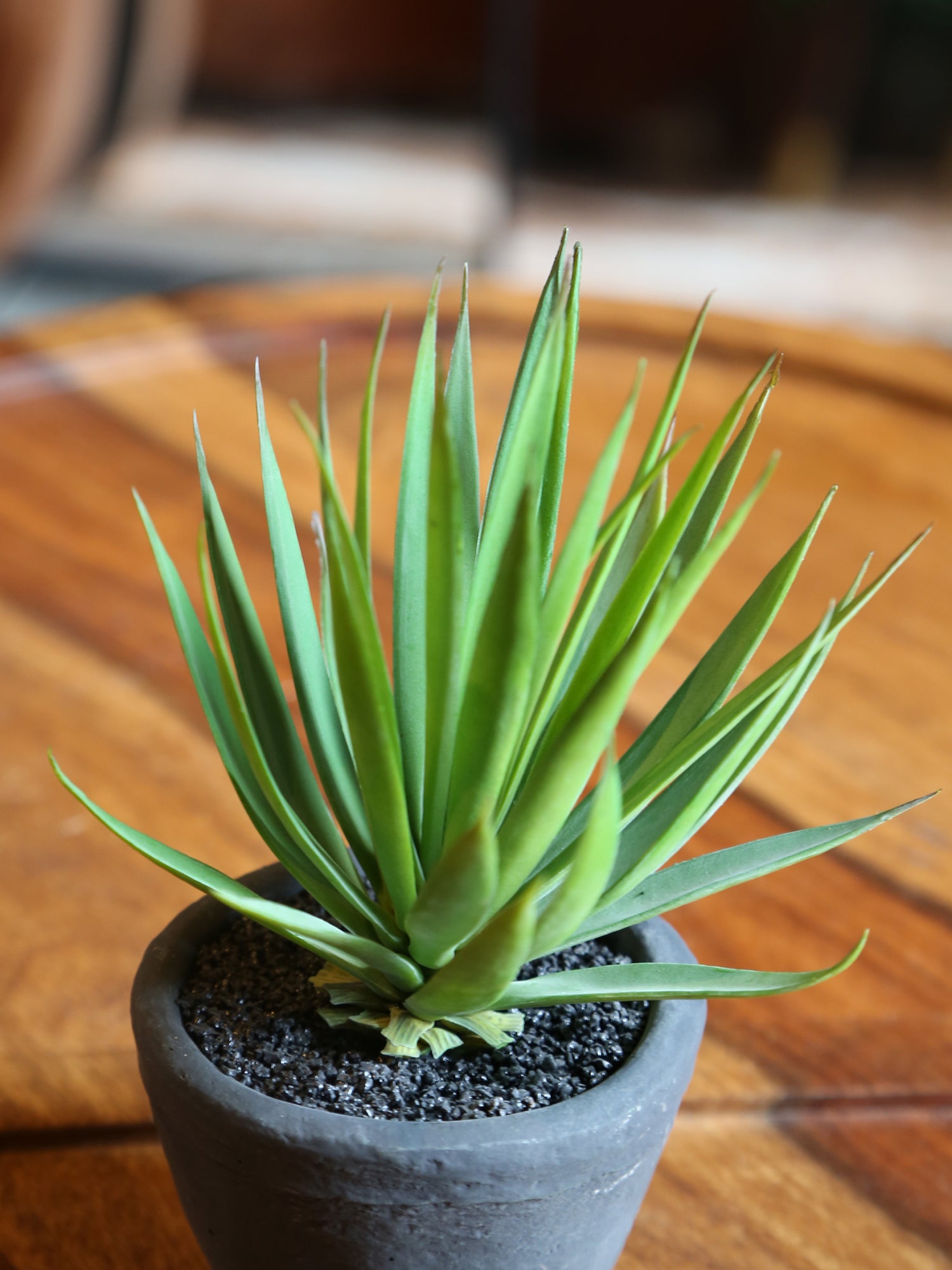 Faux Dark Green Air plant - Cement Pot