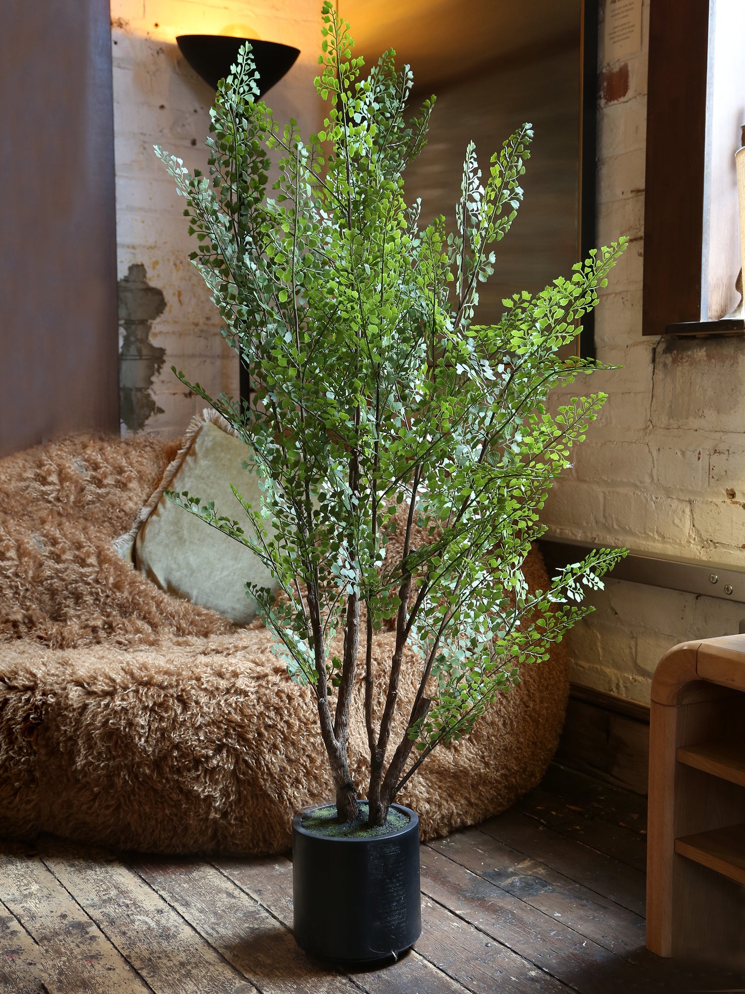 Faux Dotted Maiden Fern