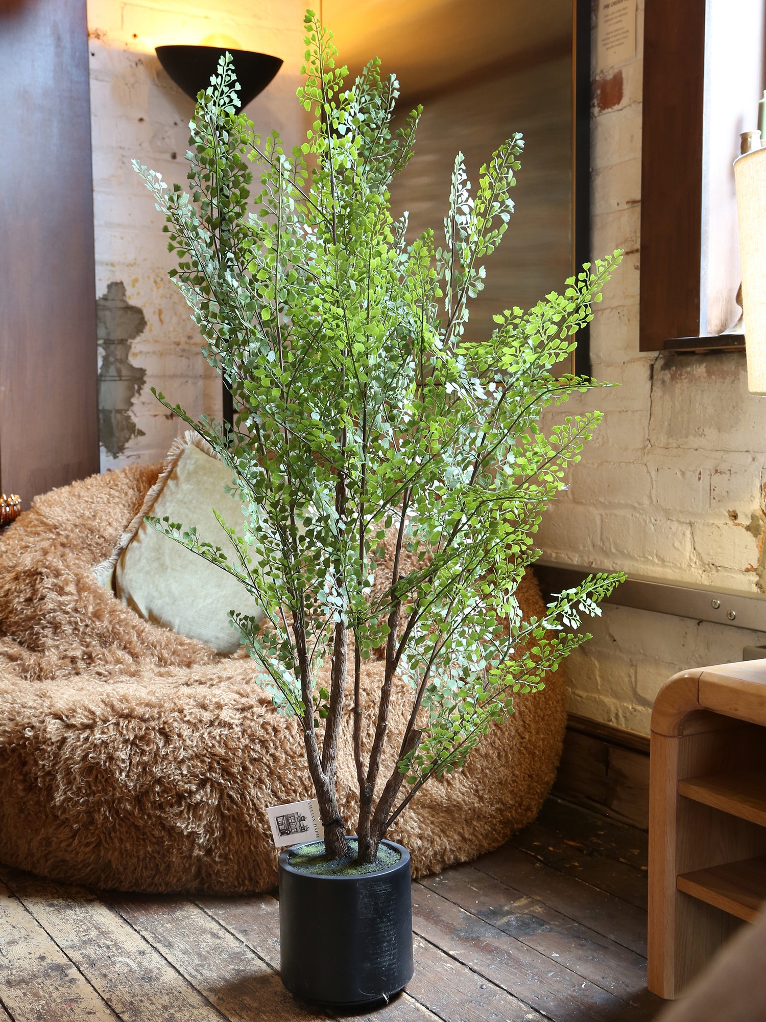 Faux Dotted Maiden Fern